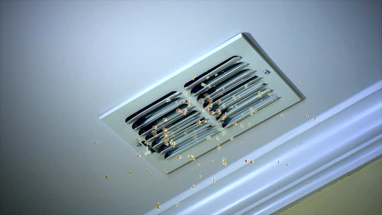 Best Residential Air Duct Cleaning  in Neshanic Station, NJ