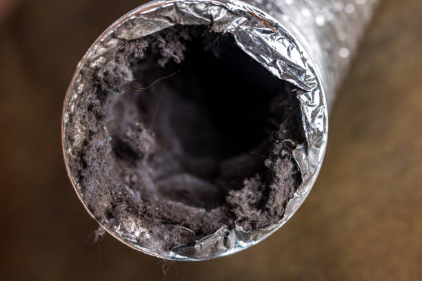 Best Air Duct Cleaning Near Me  in Neshanic Station, NJ