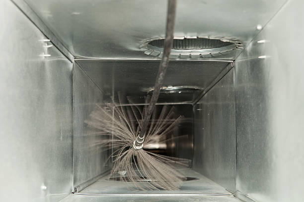 Best Air Duct Mold Removal  in Neshanic Station, NJ